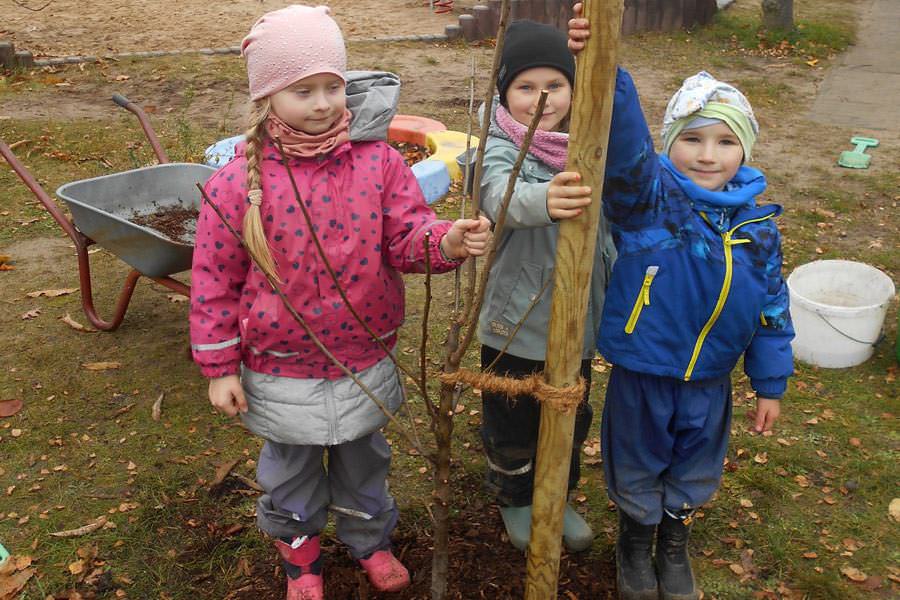 Kinder der DRK_Kita pflanzen Bäume im Rahmen der Aktion „Buddeln für Bäume“