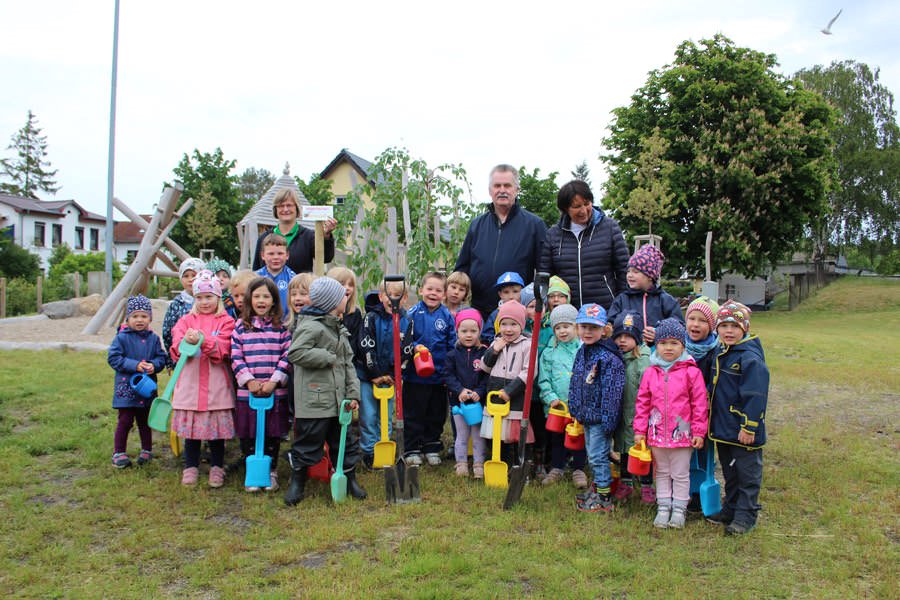 Kinder der DRK-Kita in Baabe pflanzen mit Unterstützung einen jungen Baum zum Kindertag.
