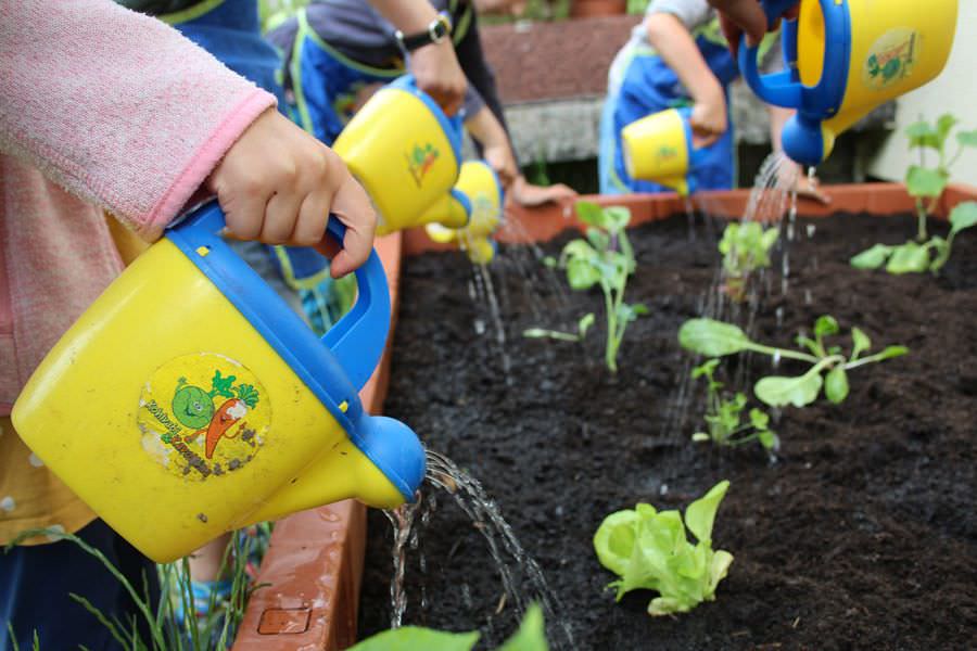 Kinder gießen junge Pflanzen im Hochbeet mit bunten Gießkannen.