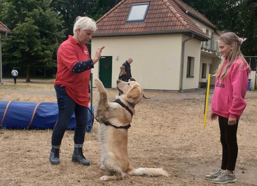 Kinder im DRK-Ferienlager Wittow mit Besuchshunden einen Hindernisparcours.