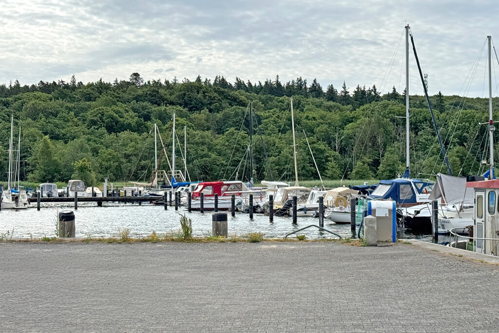 Zum Wandertag der DRK-Schule Patzig ging es zum Hafen Ralswiek. Hier kann man den Hafen und Boote im Wasser sehen.