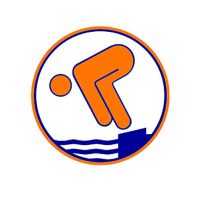 Deutsches Schwimmabzeichen Bronze