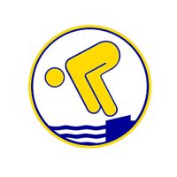 Deutsches Schwimmabzeichen Gold