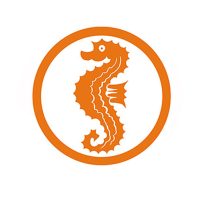 Frühschwimmer oder Anfängerschwimmen